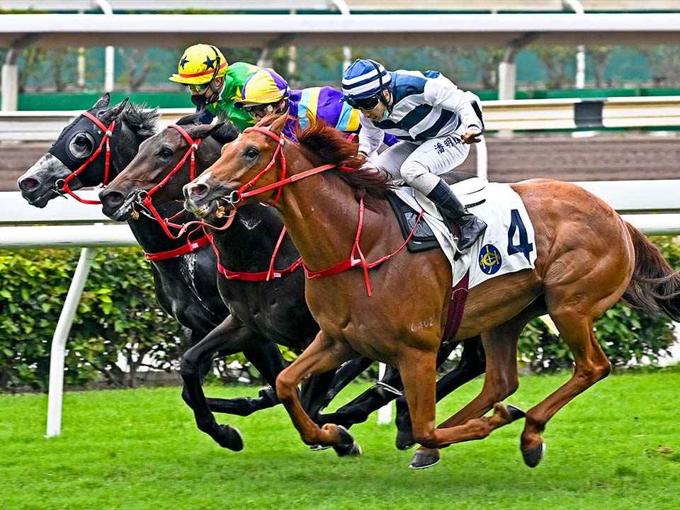 香港十大推荐必玩景点
