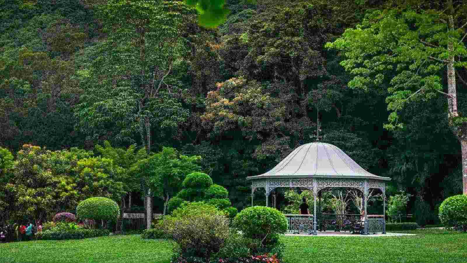 一个香港太平山顶有多种玩法，你们知道吗